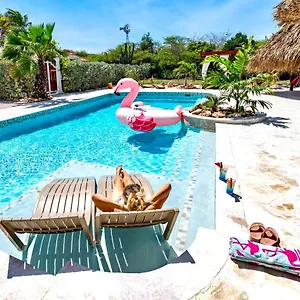 kas-amigu-accomodations.comcaribbean.com/